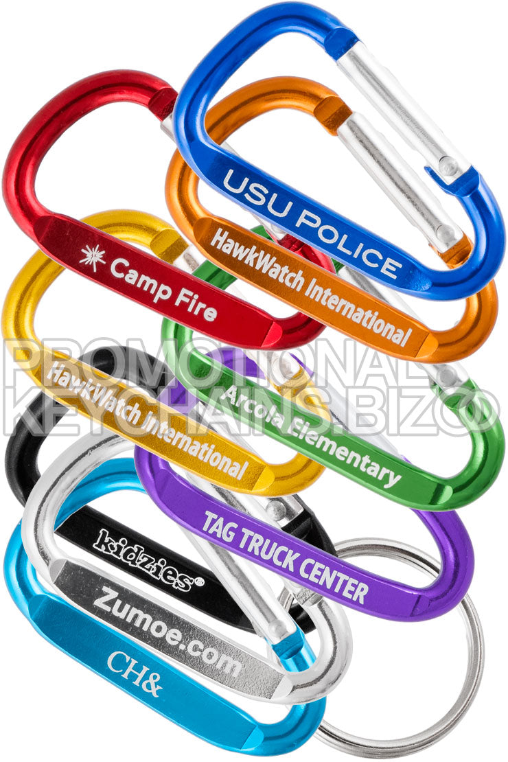 A group of 50mm carabiner keychains in 9 different colors with different engravings, on a white background.