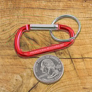 The Value of a Small Carabiner