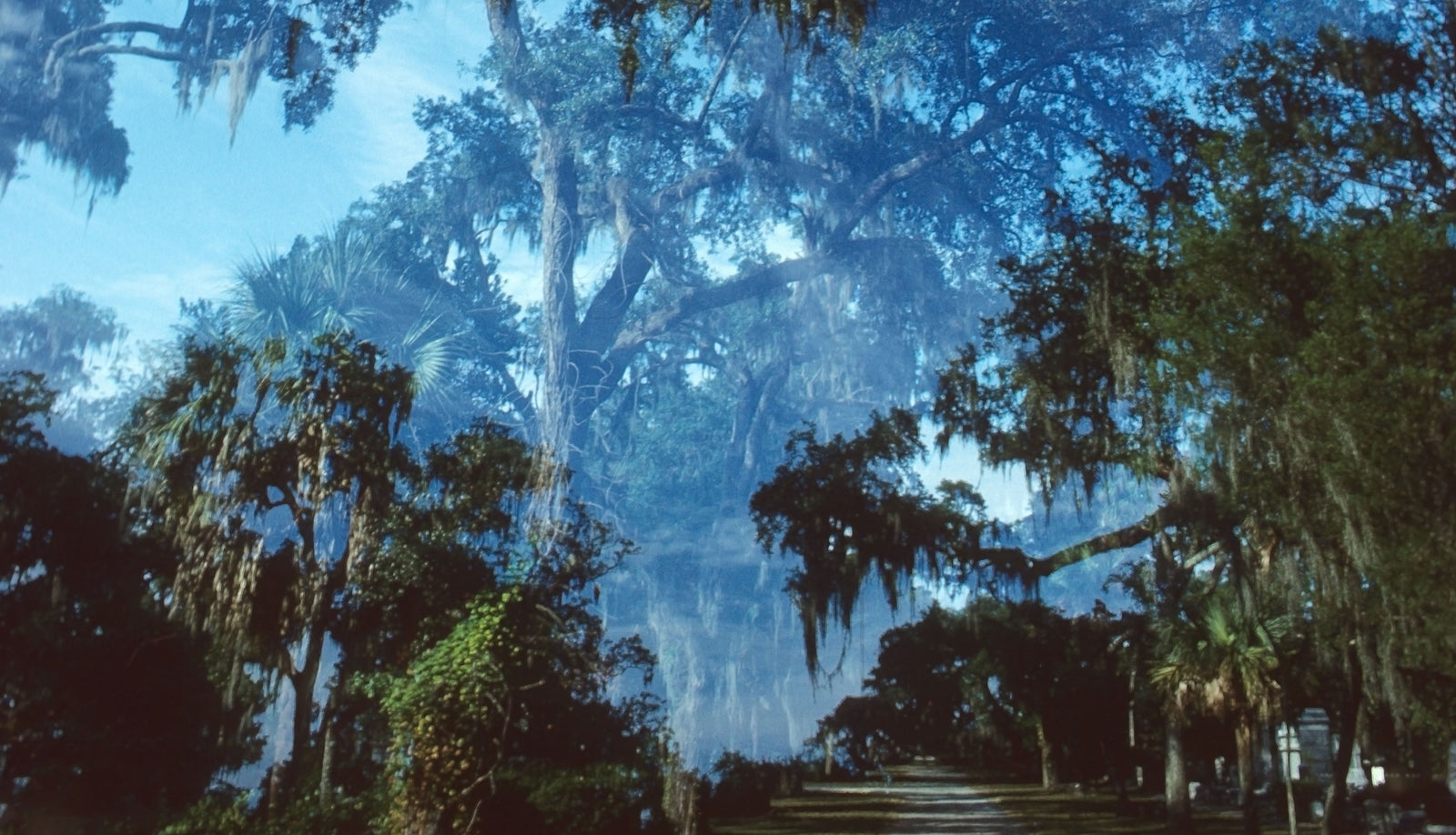 + Double exposure on Ektachrome slide film, Bonaventure Cemetery, Savannah, GA – from the SCAD days.