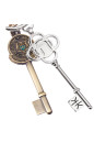 Custom Key Shaped Metal Keychains